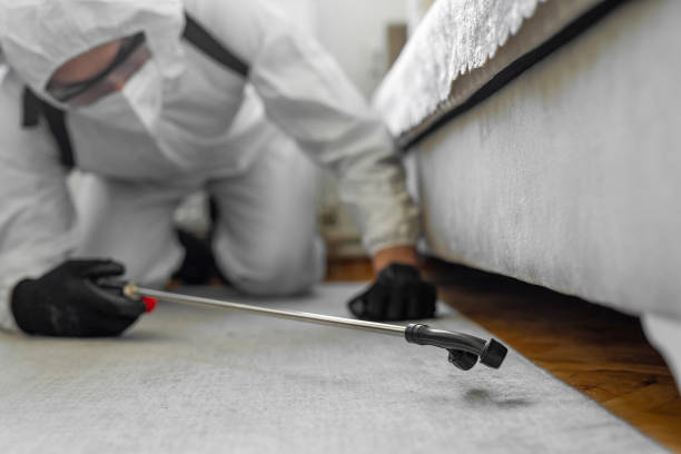 Professional Termite Control technician working in Bermuda Dunes, CA