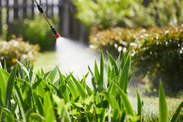 24/7 Emergency Termite Control experts in Bermuda Dunes, CA